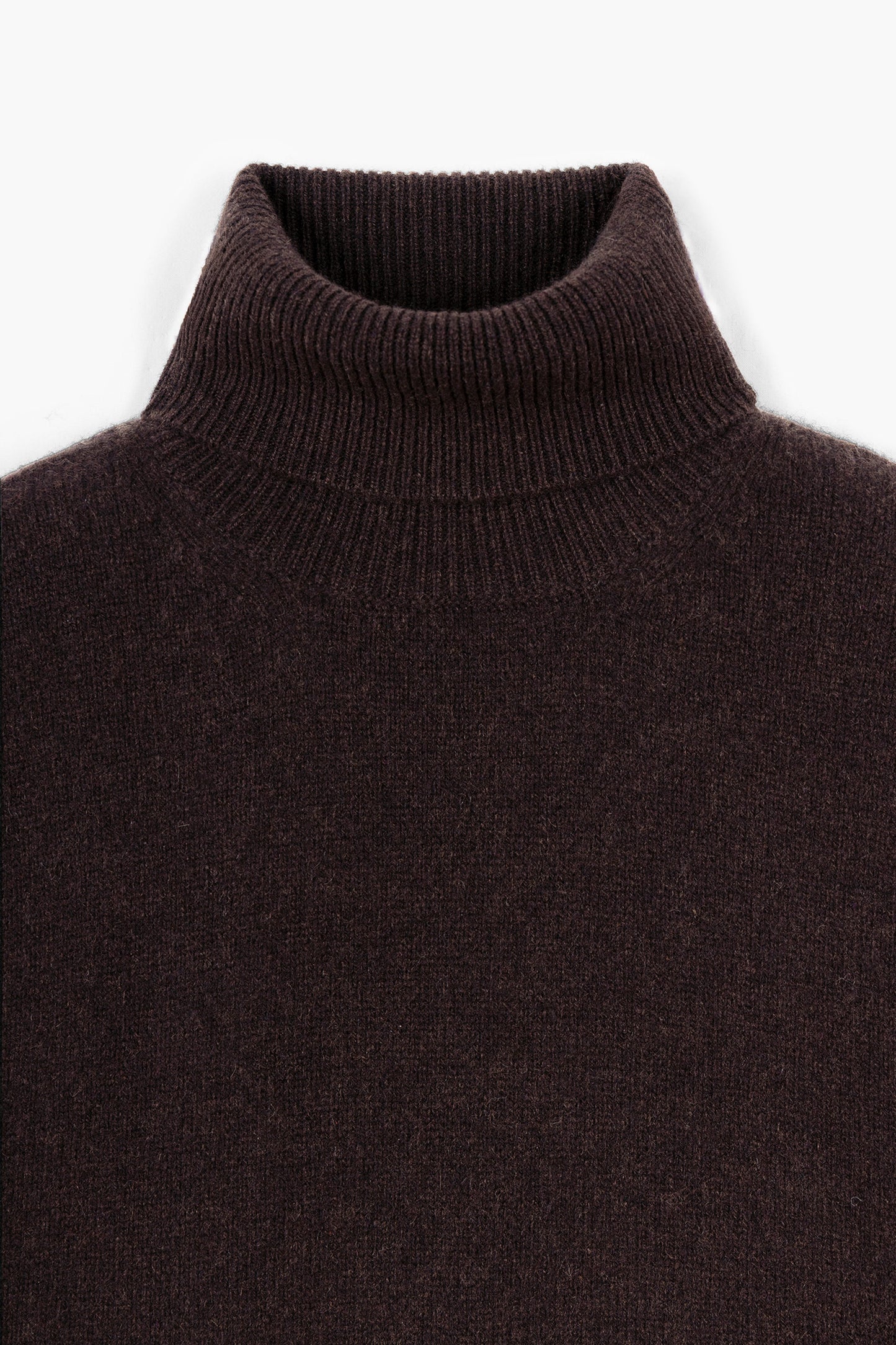 Relaxed Cashmere Turtleneck - Marron