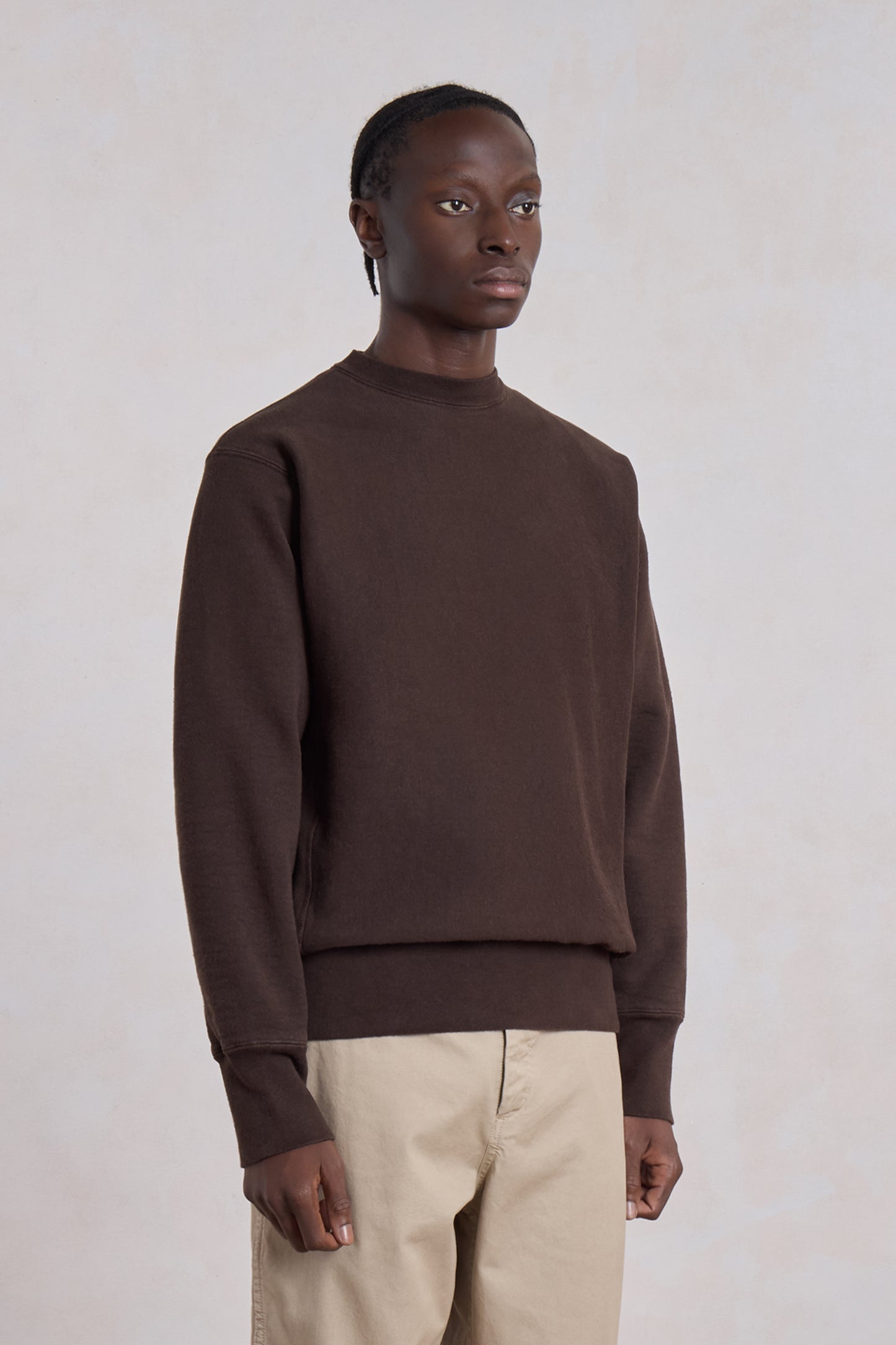 Max-weight Crewneck Sweatshirt - EXCLU - Brown