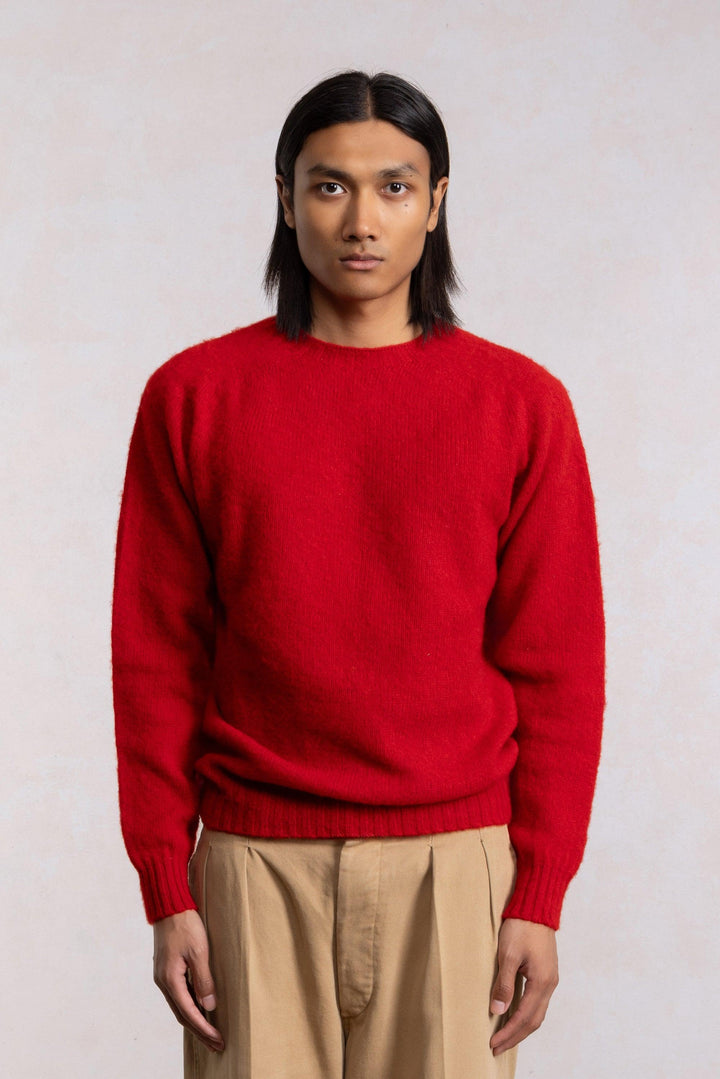 Shaggy Dog Sweater - Red