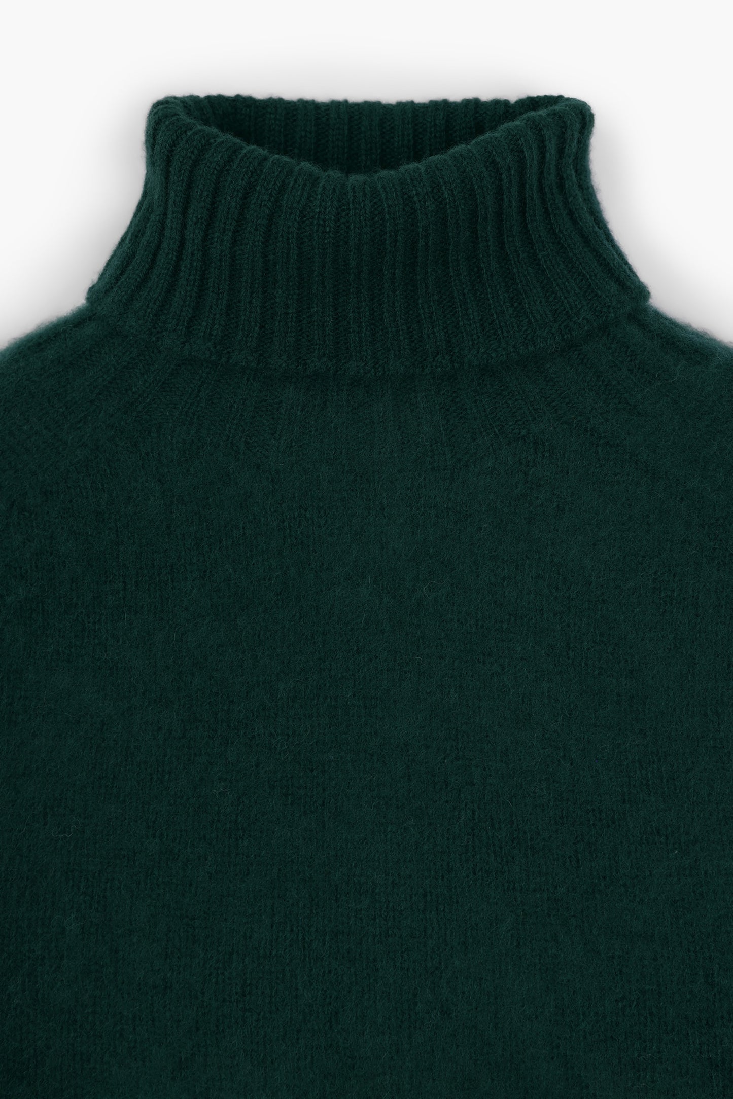 Shaggy Dog wool turtleneck sweater - Dark Green