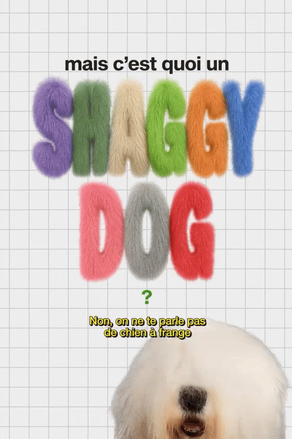 Everything about the Shaggy Dog, the iconic brushed Shetland wool sweater.